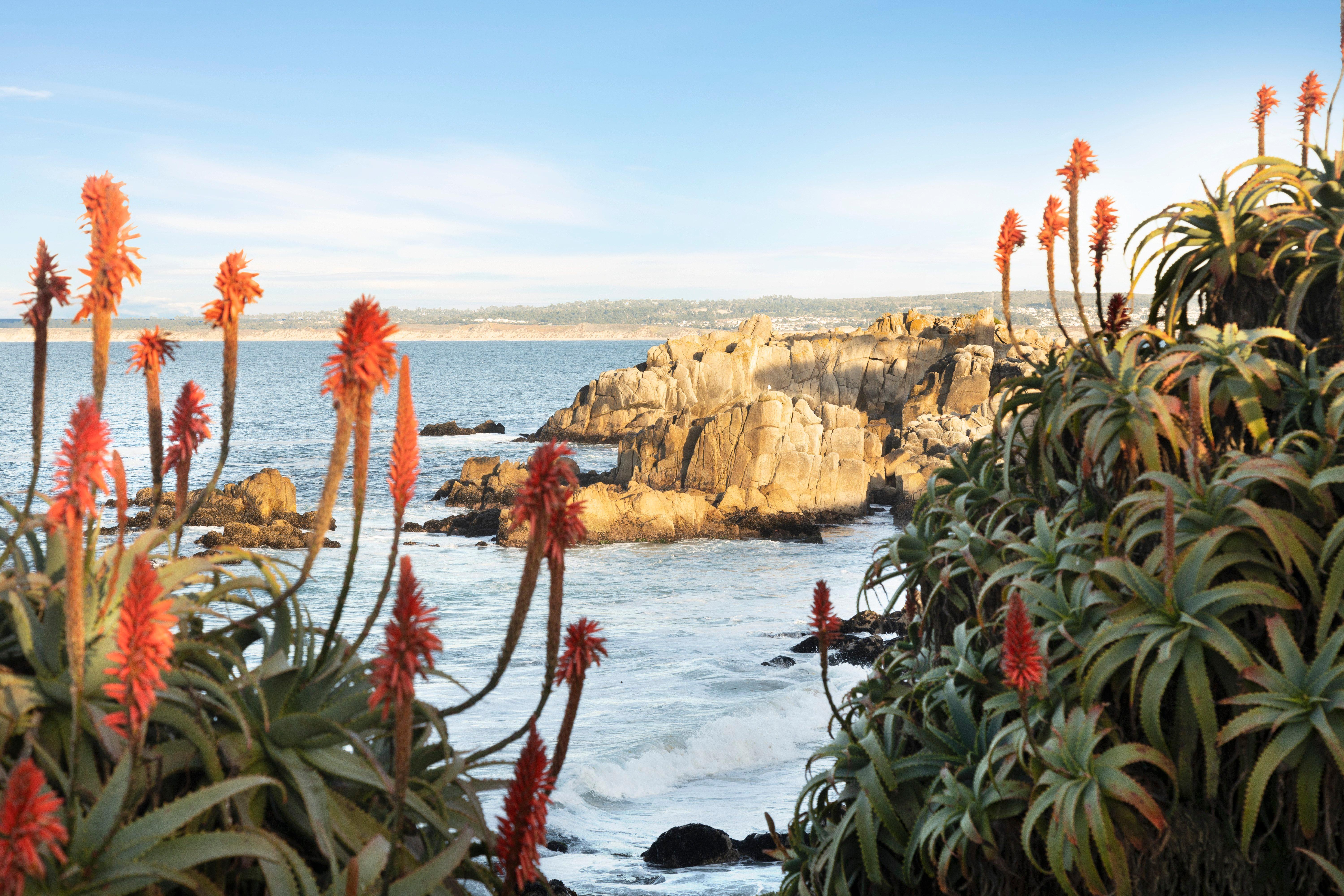 Intercontinental The Clement Monterey By Ihg Hotel Exterior photo