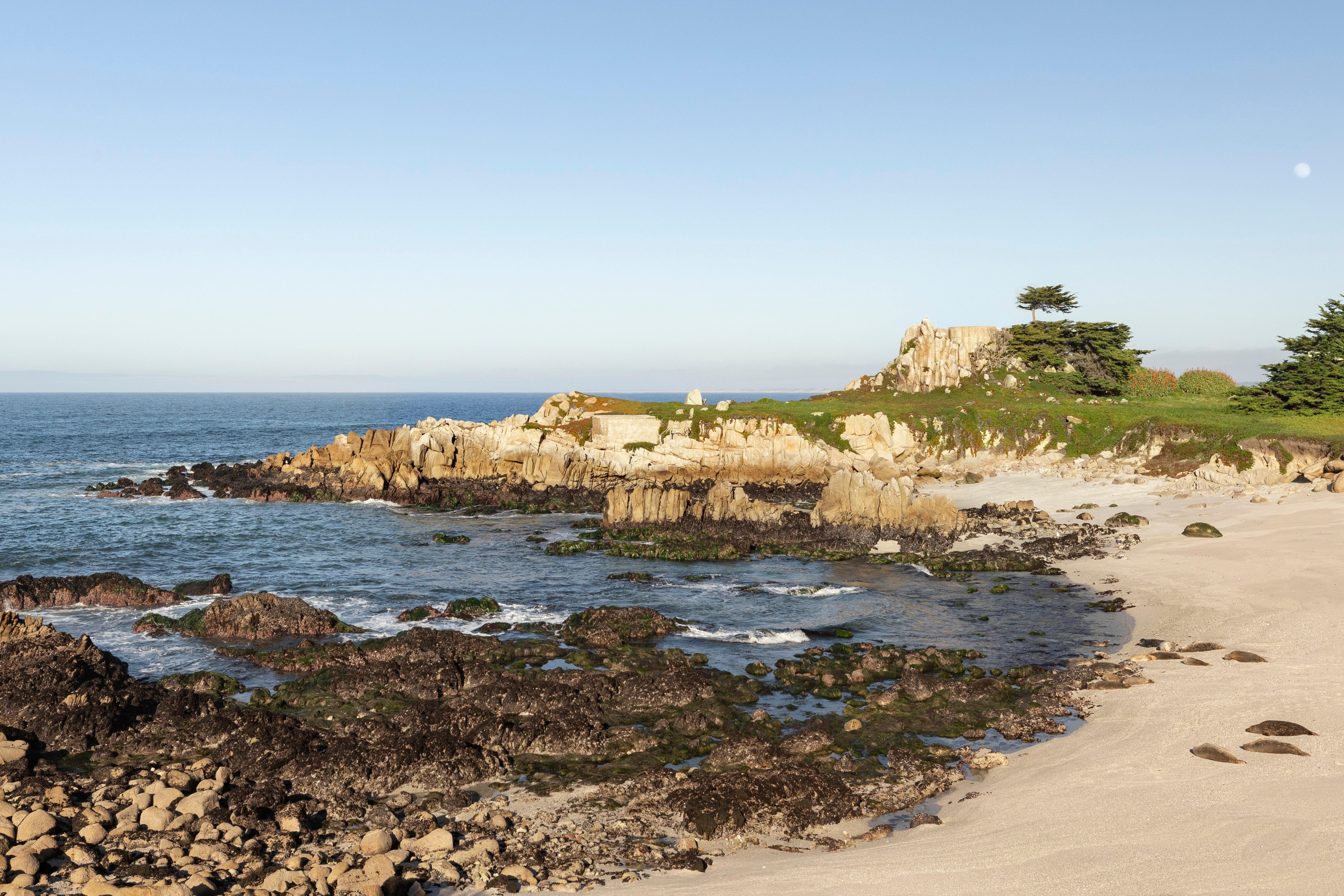 Intercontinental The Clement Monterey By Ihg Hotel Exterior photo
